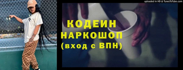 индика Богородск