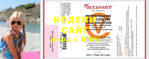 индика Богородск
