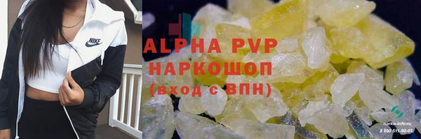 индика Богородск