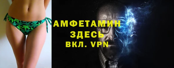 индика Богородск
