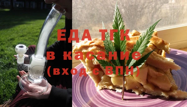 индика Богородск