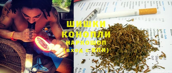 гашик Богородицк