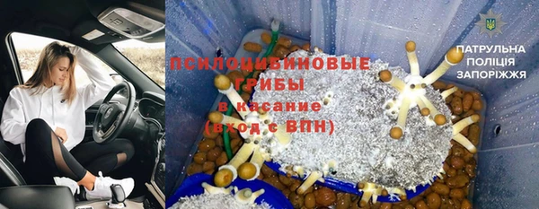 гашик Богородицк