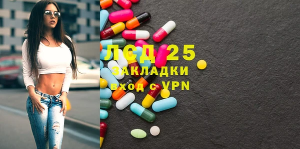 индика Богородск