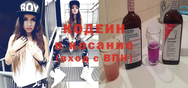 индика Богородск