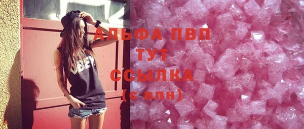 индика Богородск