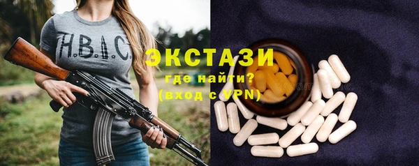 гашик Богородицк