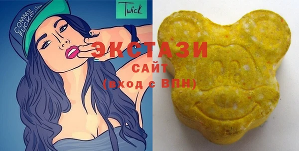 индика Богородск