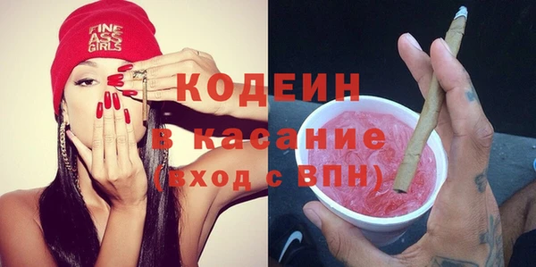 индика Богородск