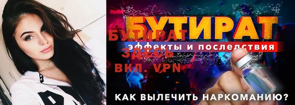 индика Богородск