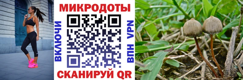 Галлюциногенные грибы Magic Shrooms  Грозный 